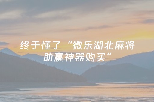 终于懂了“微乐湖北麻将助赢神器购买”（通用挂软件多少钱)