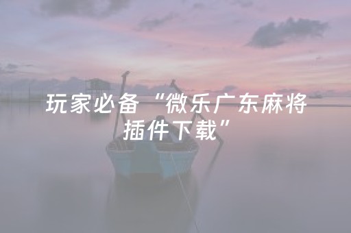 玩家必备“微乐广东麻将插件下载”（怎么能调好牌)