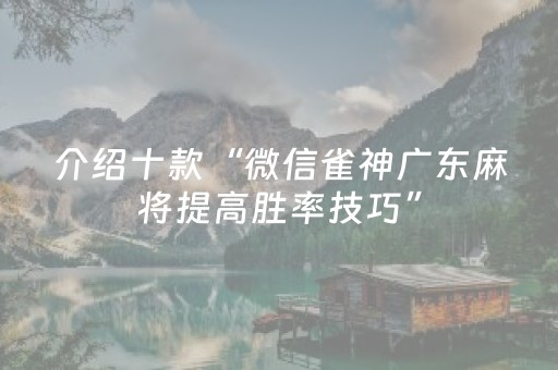 介绍十款“微信雀神广东麻将提高胜率技巧”（究竟是不是有挂)