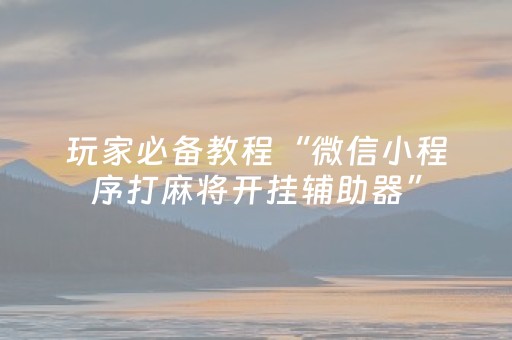 玩家必备教程“微信小程序打麻将开挂辅助器”（辅牌器插件购买)