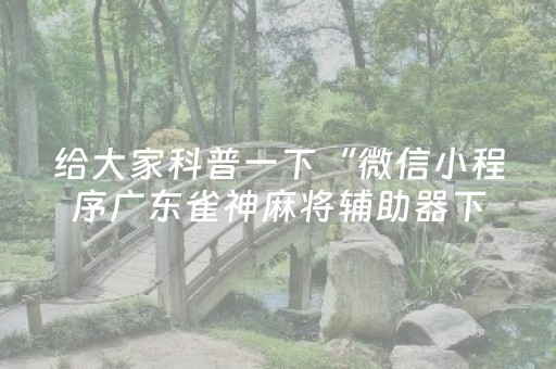 给大家科普一下“微信小程序广东雀神麻将辅助器下载”（做弊器软件下载)