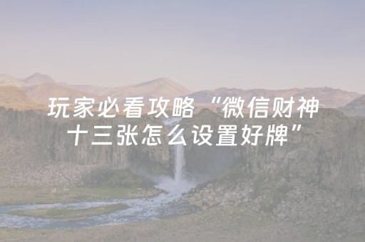 玩家必看攻略“微信财神十三张怎么设置好牌”（助赢神器购买)