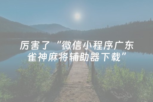 厉害了“微信小程序广东雀神麻将辅助器下载”（好友房怎么才能赢)