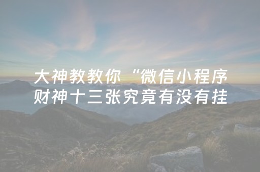 大神教教你“微信小程序财神十三张究竟有没有挂”（专用神器)