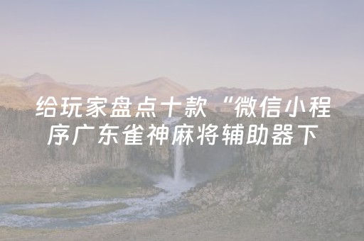 给玩家盘点十款“微信小程序广东雀神麻将辅助器下载”（开挂辅助插件)