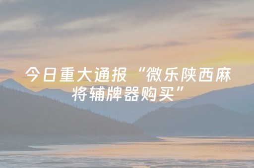 今日重大通报“微乐陕西麻将辅牌器购买”（透明挂辅助器)