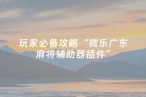 玩家必备攻略“微乐广东麻将辅助器插件”（自建房怎么赢)