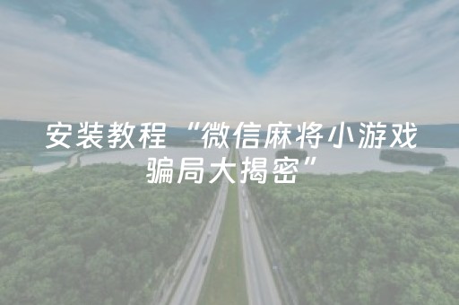 安装教程“微信麻将小游戏骗局大揭密”（辅助器插件)