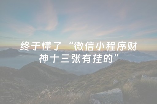 终于懂了“微信小程序财神十三张有挂的”（透明挂辅助器)