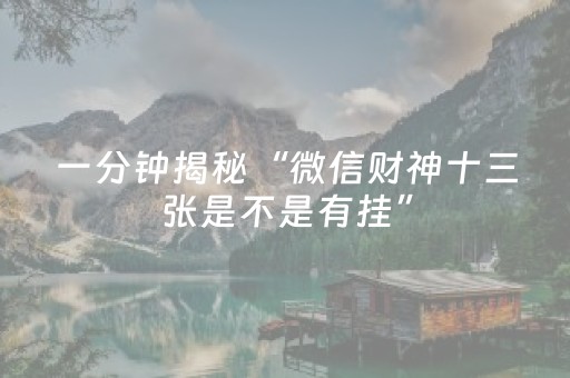 一分钟揭秘“微信财神十三张是不是有挂”（辅牌器插件购买)