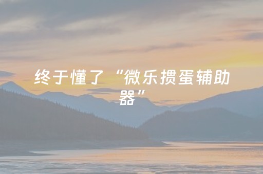 终于懂了“微乐掼蛋辅助器”（万能开挂器)