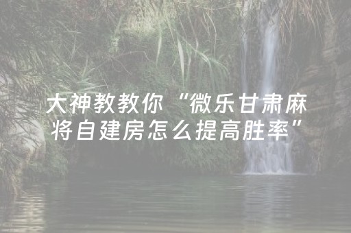 大神教教你“微乐甘肃麻将自建房怎么提高胜率”（助赢神器)