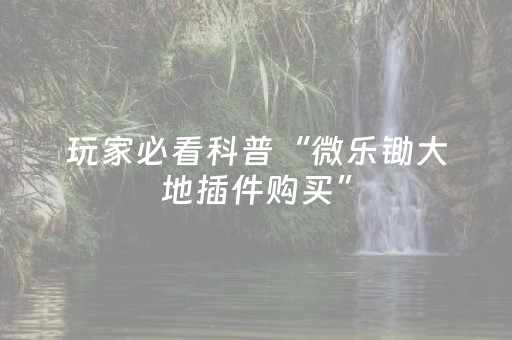 玩家必看科普“微乐锄大地插件购买”（技巧和打好牌方法)