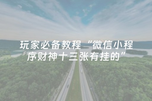 玩家必备教程“微信小程序财神十三张有挂的”（外辅工具)