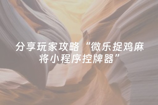 分享玩家攻略“微乐捉鸡麻将小程序控牌器”（怎么增加胜率)