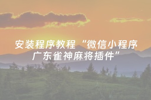 安装程序教程“微信小程序广东雀神麻将插件”（会员会提高胜率吗)