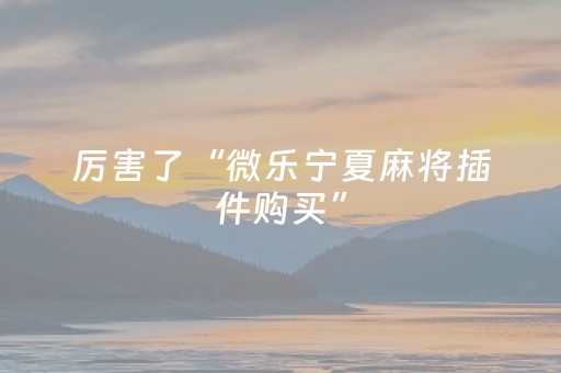 厉害了“微乐宁夏麻将插件购买”（胜负规律拿好牌)