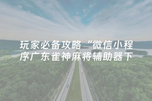 玩家必备攻略“微信小程序广东雀神麻将辅助器下载”（怎么设置才能赢)