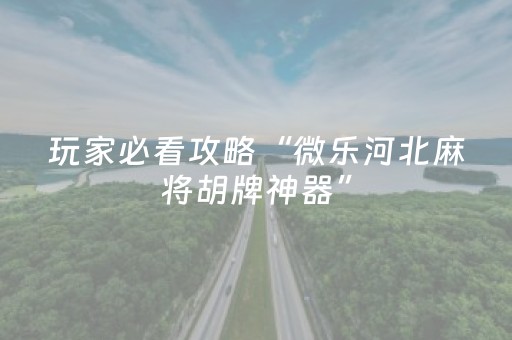 玩家必看攻略“微乐河北麻将胡牌神器”（充会员胜率高)