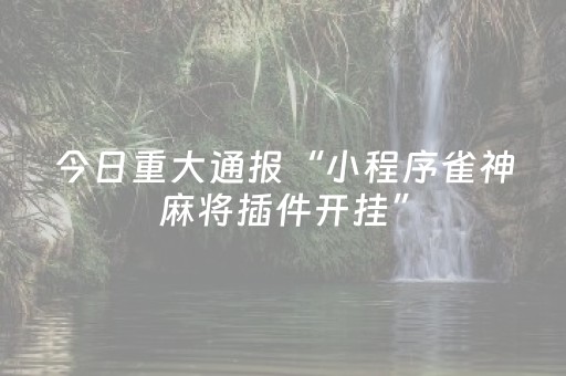 今日重大通报“小程序雀神麻将插件开挂”（挂件神器)