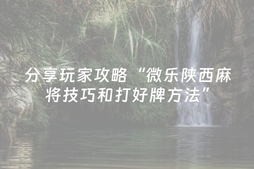 分享玩家攻略“微乐陕西麻将技巧和打好牌方法”（小程序控牌器)