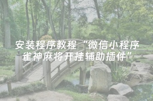 安装程序教程“微信小程序雀神麻将开挂辅助插件”（免费专用神器)