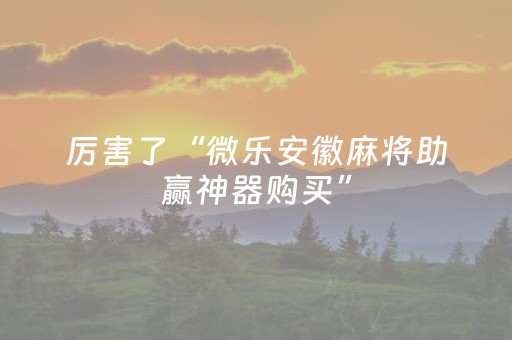 厉害了“微乐安徽麻将助赢神器购买”（挂件神器)