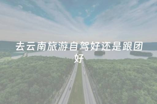 去云南旅游自驾好还是跟团好（去云南玩自驾游好还是跟团好）