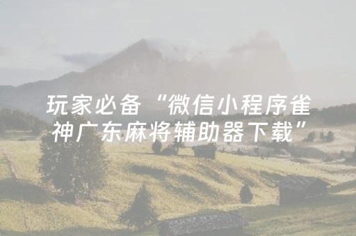 玩家必备“微信小程序雀神广东麻将辅助器下载”（插件可信吗)