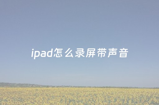 ipad怎么录屏带声音（ipad怎么录屏带声音插耳机）