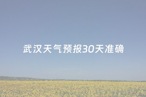 武汉天气预报30天准确（11月武汉天气预报30天准确）