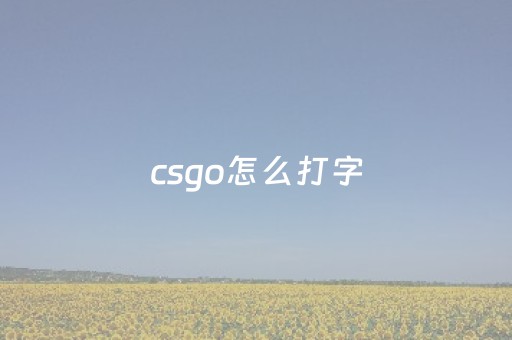 csgo怎么打字（csgo怎么打字交流）