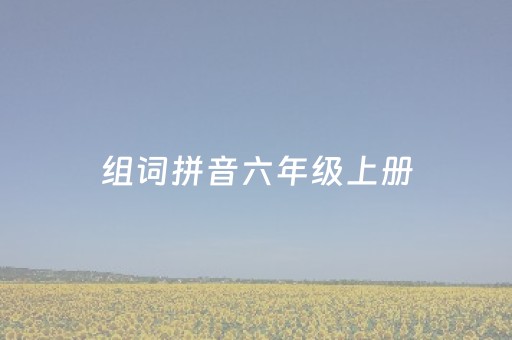 组词拼音六年级上册（桥课文生字组词拼音六年级上册）