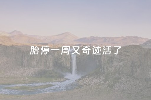 胎停一周又奇迹活了（胎停一周又奇迹活了怎么回事）