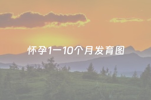 怀孕1一10个月发育图（110月孕肚图片）