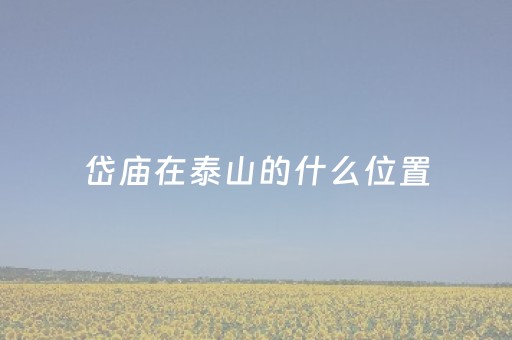 岱庙在泰山的什么位置（先去岱庙还是先爬泰山）