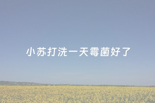 小苏打洗一天霉菌好了（小苏打洗一天霉菌好了达克宁栓）