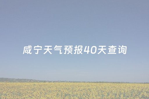 咸宁天气预报40天查询（咸宁天气预报45天）