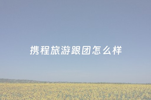 携程旅游跟团怎么样（携程旅游跟团可靠吗）