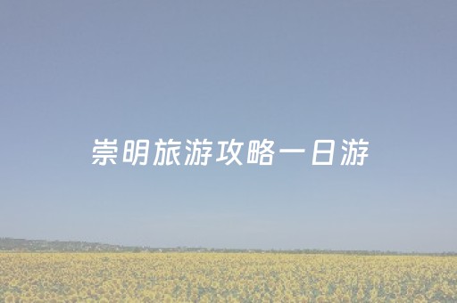 崇明旅游攻略一日游（崇明旅游攻略景点必去）