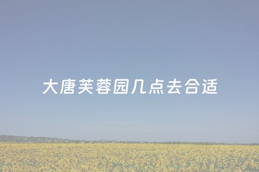 大唐芙蓉园几点去合适（大唐芙蓉园白天免费吗）