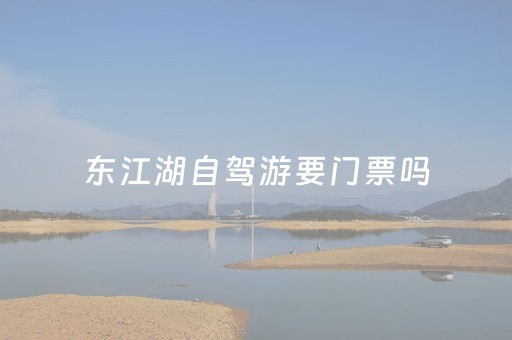 东江湖自驾游要门票吗（东江湖风景旅游区可以开车进去吗）