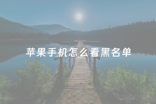 苹果手机怎么看黑名单（苹果手机怎么看黑名单人打没打电话）