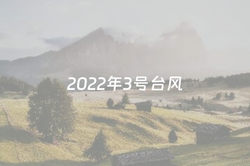 2022年3号台风（2022年3号台风怎么读）