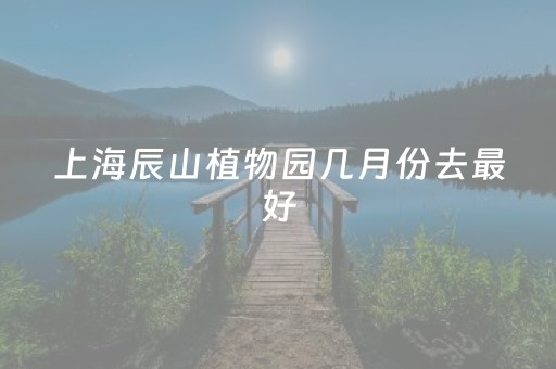 上海辰山植物园几月份去最好（上海辰山植物园一日游攻略）