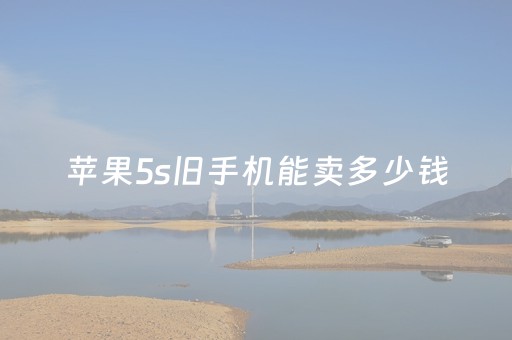 苹果5s旧手机能卖多少钱（2023
年苹果5s旧的回收多少钱）