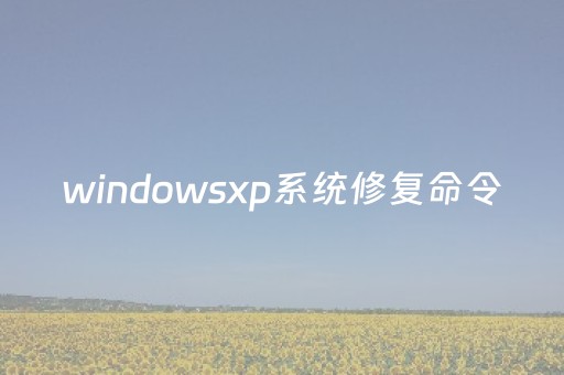 windowsxp系统修复命令（xp修复系统文件命令）