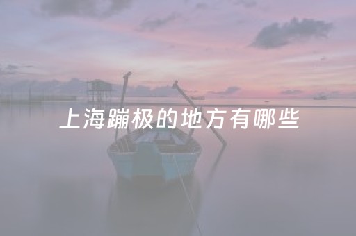 上海蹦极的地方有哪些（上海蹦极的地方有哪些
）