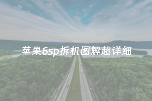 苹果6sp拆机图解超详细（苹果6sp拆卸方法）