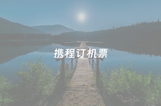 携程订机票（携程订机票后怎么取票）